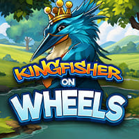 Kingfisher on Wheels in SubLatestReleases