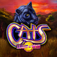 Cats Split 'N' Win in SubLatestReleases
