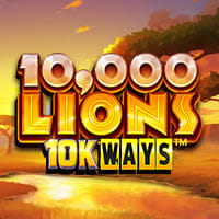 10000 Lions 10k ways in All
