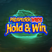 Prospector Wilds Hold and Win in SlotsExclusive