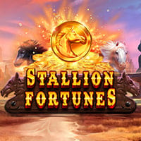 Stallion Fortunes in top_wizard_MGM