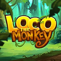 Loco the Monkey in top_Playtech_MGM