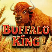 Buffalo King in Drops_Wins