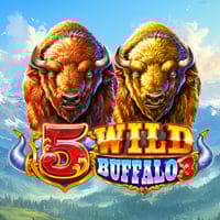 5 Wild Buffalo 3 in Featured