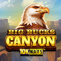 Big Bucks Canyon 10K Ways in All