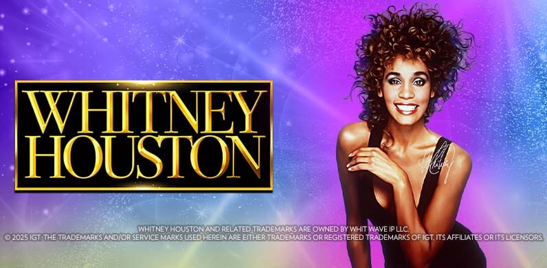 Whitney Houston in hollywood_hits_MGM
