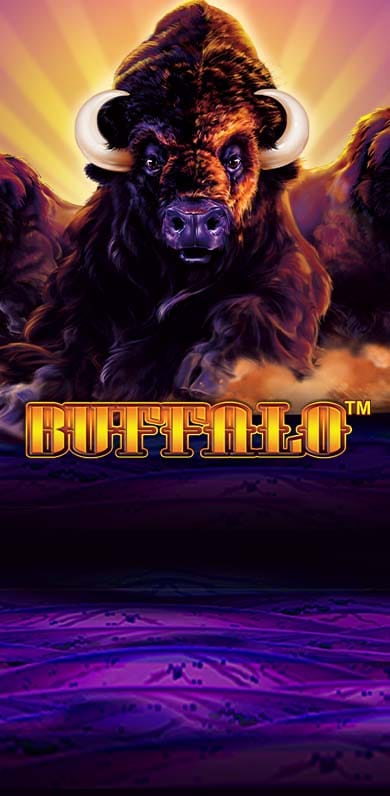 Buffalo in Floor_Fav_MGM