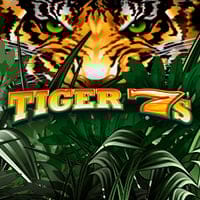 Tiger 7's in top_Everi_MGM