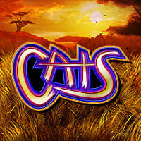 Cats in top_IGT_GM