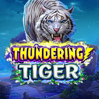 Thundering Tiger in Featured