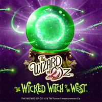 The Wizard Of Oz The Wicked Witch Of The West in All