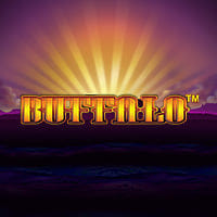 Buffalo in supplier_spotlight