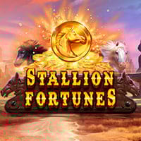 Stallion Fortunes in top_wizard_MGM