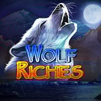 Wolf Riches in top_wizard_MGM
